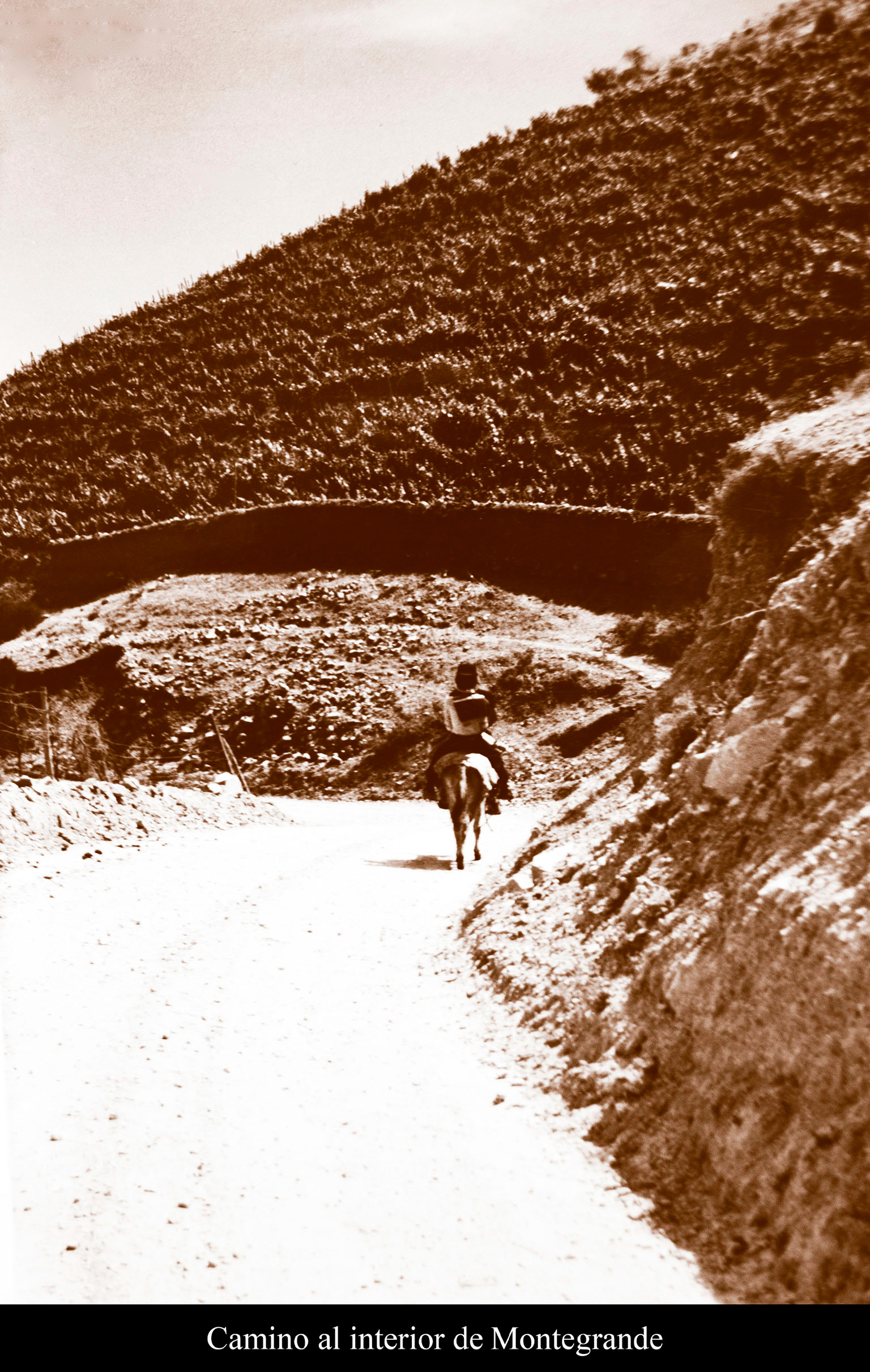 Camino Interior Montegrande