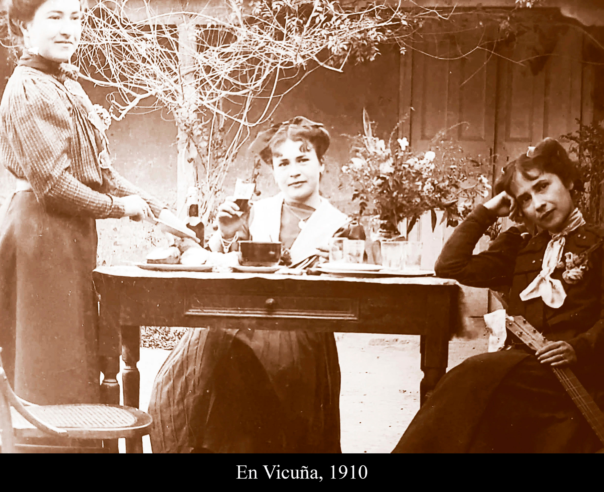 En vicu&ntilde;a, 1910
